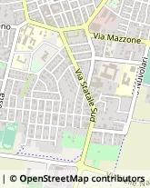 Via Francesco Petrarca, 3,41037Mirandola