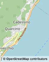 Giardinaggio - Servizio,28824Verbano-Cusio-Ossola