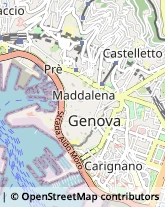 Campetto, 8/10A,16123Genova