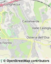 Via Massa di San Giuliano, 299,00132Roma