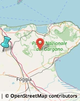 Articoli Carnevaleschi e per Feste,71017Foggia