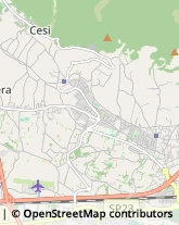 Istituti di Bellezza,05100Terni