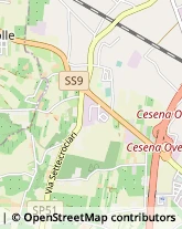 Via Ernesto Rossi, 74,47023Cesena