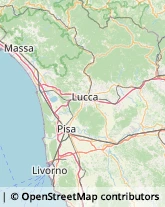 Consulenza alle Imprese e agli Enti Pubblici,51017Pistoia