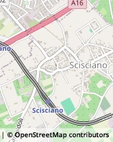 Via S. Borzillo, 15,80030Scisciano