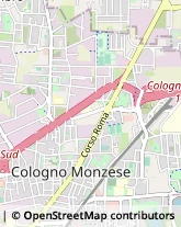 Corso Roma, 91,10100Cologno Monzese