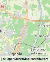 Via Consuma, 1,41058Vignola