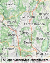 Articoli per Ortopedia,20841Monza e Brianza