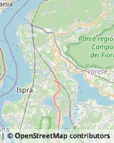 Refrattari,21038Varese