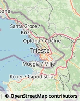 Otorinolaringoiatria - Medici Specialisti,34011Trieste