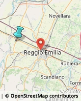 Formaggi e Latticini - Dettaglio,42049Reggio nell'Emilia