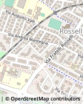 Via Fratelli Rosselli, 258,41125Modena