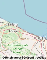 Porcellane - Dettaglio,76123Barletta-Andria-Trani