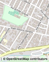 Viale Vittorio Veneto, 384,41058Vignola