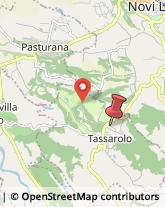 Via Massimiliano Spinola, 5,15060Tassarolo