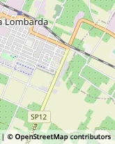 Piazza Martiri di Belfiore, SNC,48024Massa Lombarda