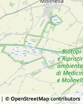 Via Sant'Antonio, 661,40059Medicina