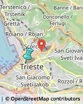 Imprese di Pulizia,34121Trieste