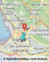 Imprese di Pulizia,34129Trieste