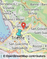 Imprese di Pulizia,34122Trieste