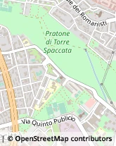 Via Giuseppe Saredo, 6,00173Roma