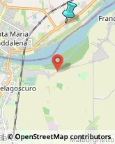 Articoli da Regalo - Dettaglio,45030Rovigo