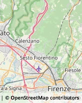 Via Cadore, 18,50142Firenze