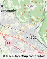 Asili Nido,59100Prato