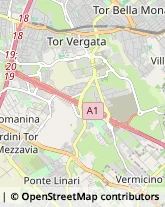 Via del Ponte delle Sette Miglia, 215,00173Roma