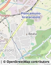 Falegnami,25050Brescia