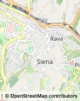 Avvocati,53100Siena