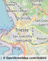 Conserve,34121Trieste