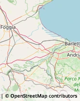 Via Giuseppe Palmitessa, 20,70051Barletta