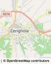 Via Pietro Mascagni, 46,71042Cerignola