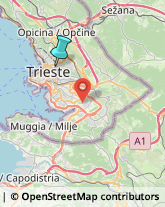 Gioiellerie e Oreficerie - Dettaglio,34126Trieste