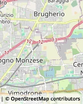 Via Ghirlanda, 23,20861Brugherio