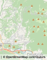 Agenzie Ippiche e Scommesse,02100Rieti