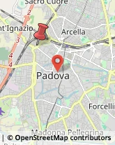 Via Fra' Paolo Sarpi, 132,35033Padova