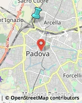 Palestre e Centri Fitness,35135Padova