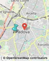 Palestre e Centri Fitness,35139Padova