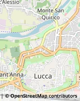 Via S. Nicolao, 65,55100Lucca