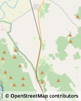 Strada Provinciale 59, 29,58010Grosseto