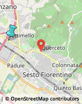 Locali, Birrerie e Pub,50041Firenze