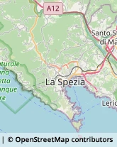 Sartorie,19136La Spezia