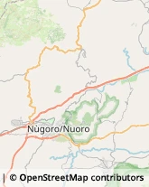 Via Ballero, 138,08100Nuoro