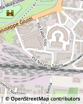 Via Nazario Sauro, 118,55100Lucca