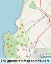 Comuni e Servizi Comunali,57025Livorno