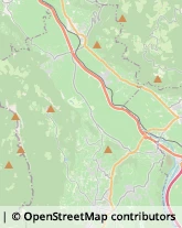 Vini e Spumanti - Produzione e Ingrosso,39010Bolzano