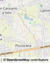 Prosciuttifici e Salumifici - Vendita,55012Lucca