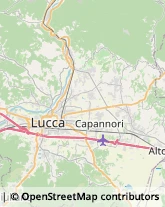 Erboristerie,55100Lucca